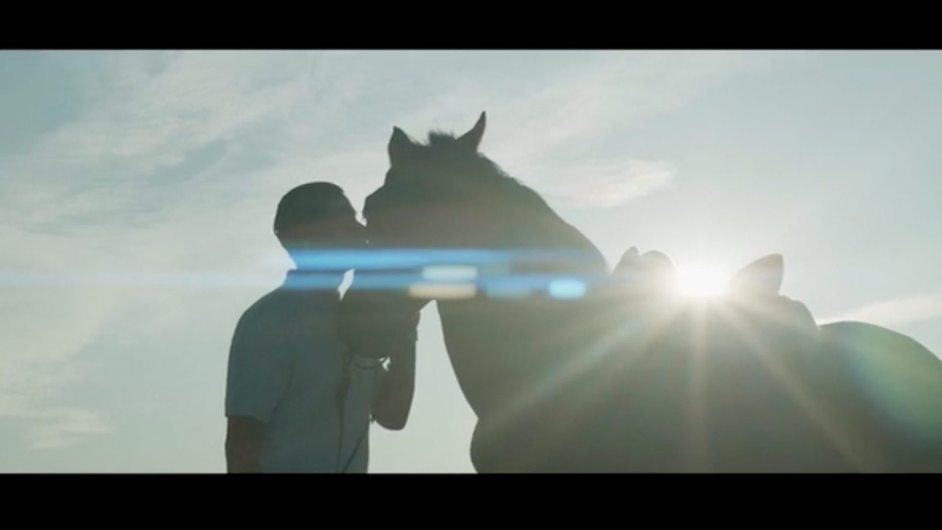 horse